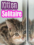 Kitten Solitaire