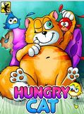 Hungry Cat
