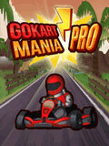 Go Kart Mania Pro