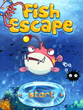 Fish Escape