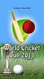World Cricket Cup 2011