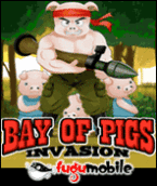 Bay Of Pigs Invasion