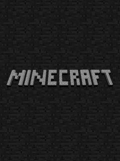 Minecraft 2D (Java, in-browser), Niels Bom