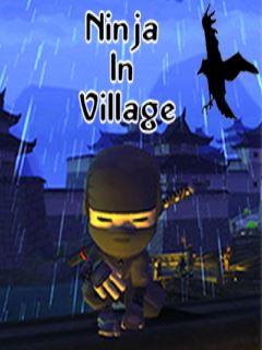 Ninja In Village