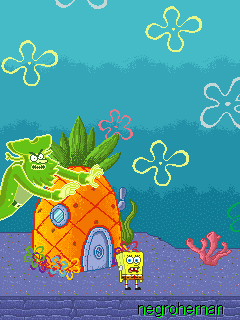Bikini Sponge