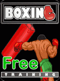 Boxing Trainning