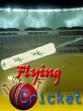 Flying Cricket