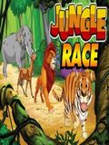 Jungle Race

