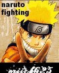 Naruto Fighting
