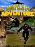 Ninja Adventure
