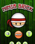 Ninja Brick