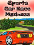 Sports Car Race Madness