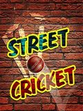 Street Cricket Play