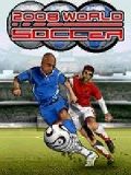 ワールドサッカー2008