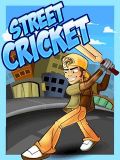 Street Cricket