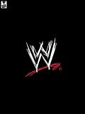 WWE Smackdown против Raw 2010