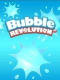 Революция пузыря