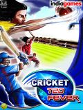 EA Cricket 2010