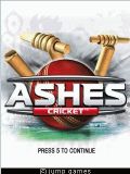 Ashes Cricket