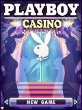 Casino Playboy