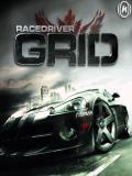 Rennfahrer GRID-3D