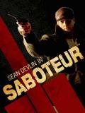The Sabetour