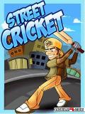 Street cricket
