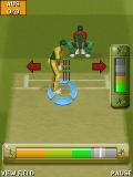 Cricket Powerplay