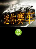 Mini Racing (Cina)