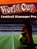 Manajer Sepakbola Piala Dunia