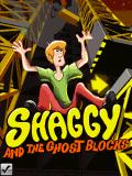 Shaggy et les blocs fantômes