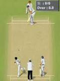 Cricket Mania 2005