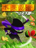 Ninja Fruit CN