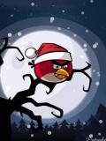 Angy Birds - édition de Noël