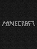 Minecraft 2D (베타)