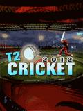 टी 20 क्रिकेट 2012