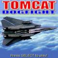 Tomcat Dogfight