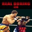 Real Boxing 3D K750 / outro