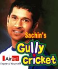 Cricket Sachins Gully