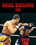 Real Boxing 3D