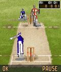 Cricket jahat