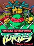 Teenage Mutant Ninja Turtles: The Ninja Tribunal (TMNT)
