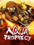 Ninja Prophecy (ekran dotykowy)