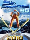 Salto de esqui 3D 2010