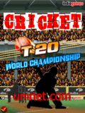 Крикет 20-20