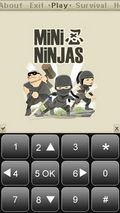 Mini-Ninja