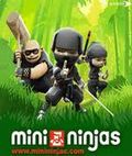 Ninjas Mini