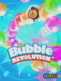 Революция пузыря