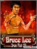 Bruce Lee: Iron Fist 3D