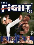 Thw Fight 3D